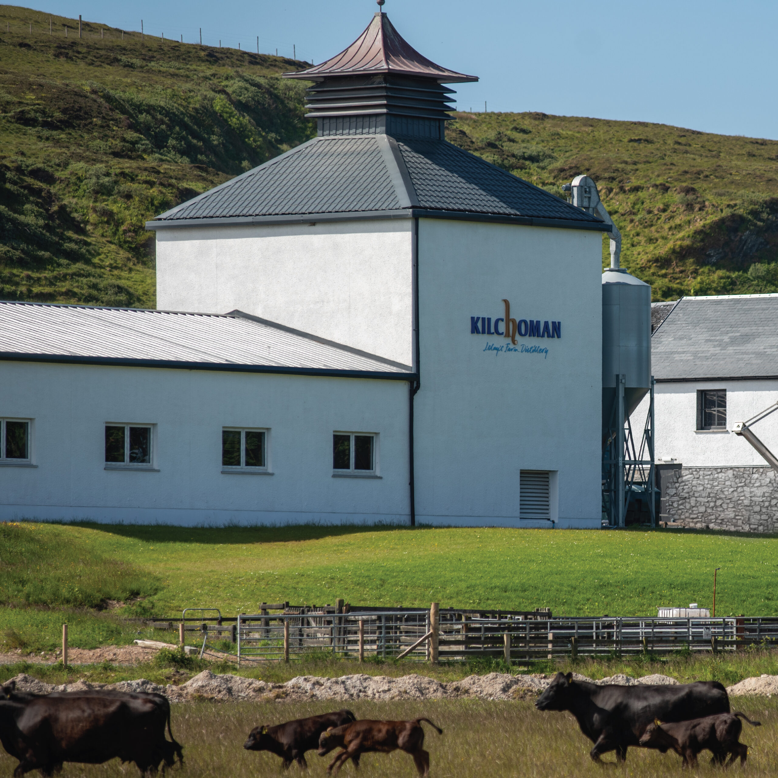 Kilchoman Distillery – consultancy and ongoing support. © Kilchoman Distilleries